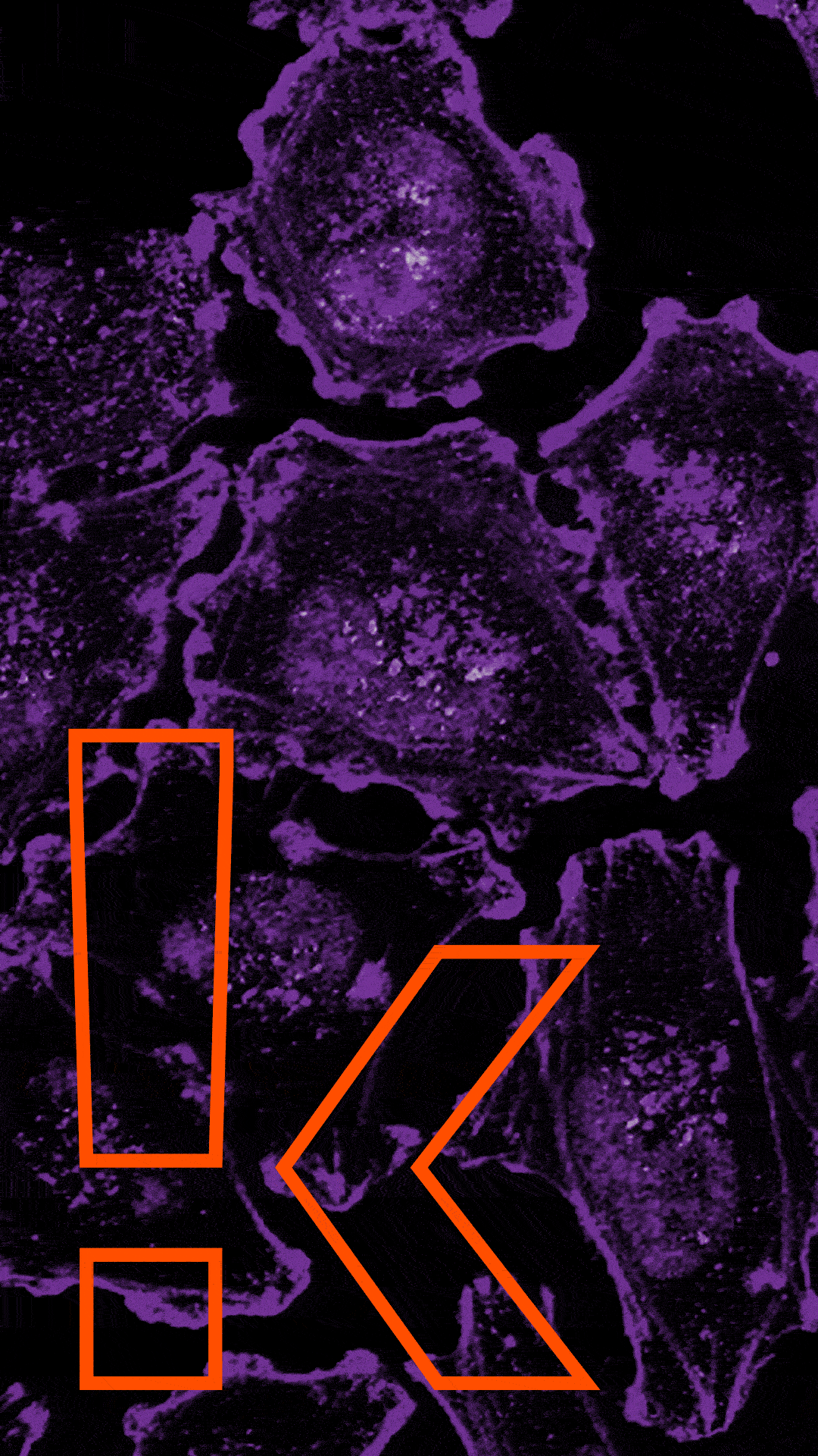  Generative AI Consultancy for Creatives