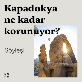  Generative AI Consultancy for Creatives