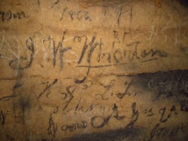 Generative AI Consultancy for Creatives